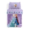 Trapunta Piumone Invernale Frozen Love Disney Caleffi Per Letto Singolo K567
