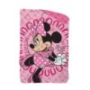 Trapunta Piumone Invernale Minnie Disney Per Letto Singolo J898